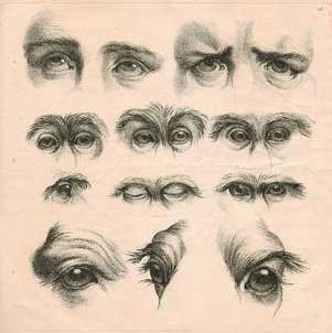 charle le brun comparisation of eyes