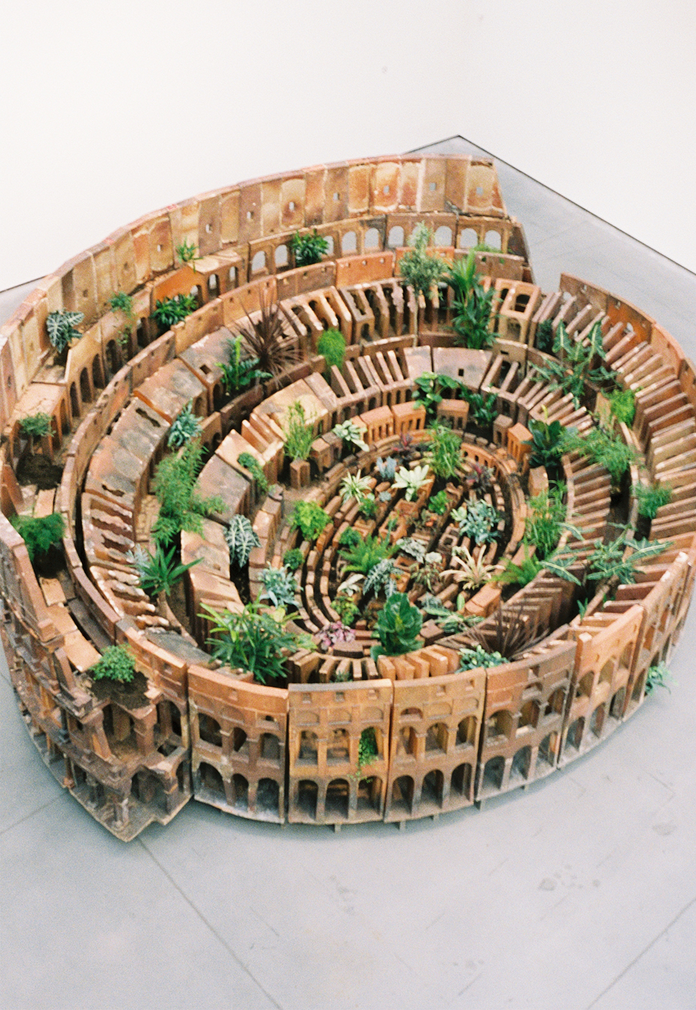 Huang Yong Ping: Collosseum (2007)